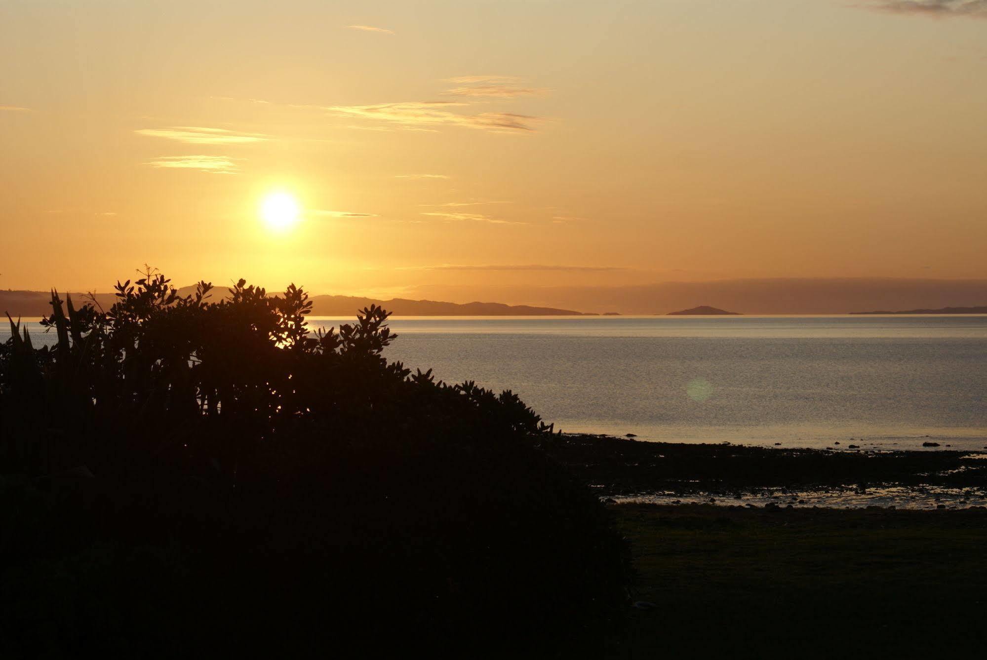 Te Puru Beach Lodge Eksteriør bilde