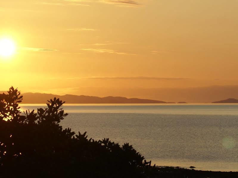 Te Puru Beach Lodge Eksteriør bilde